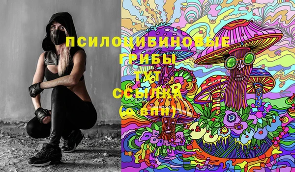 прущие крисы Дмитровск