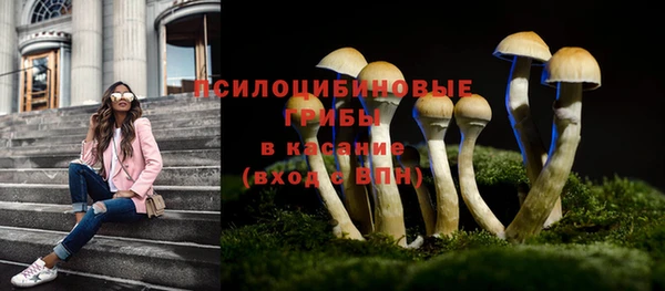 каннабис Дмитров